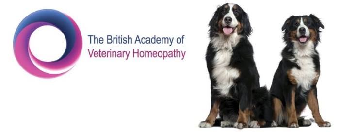 970202_147974828725224_566392172_n